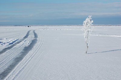 En esta carretera debes ir sin cinturón de seguridad En esta carretera debes ir sin cinturón de seguridad