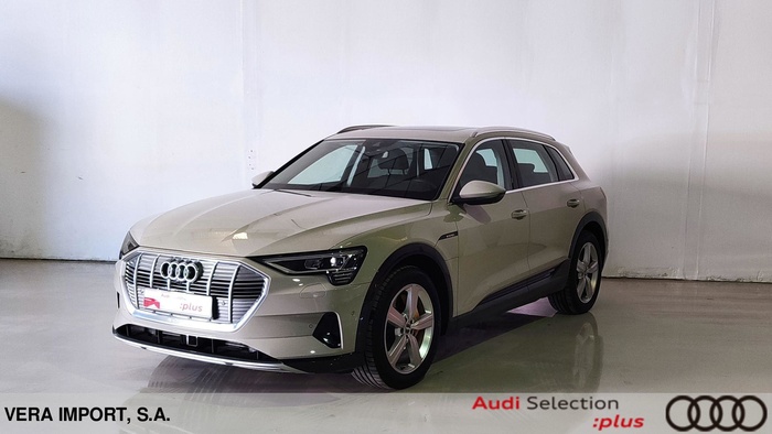 Audi e-tron Advanced 55 quattro 300 kW (408 CV) - 0