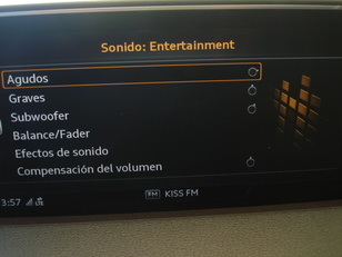 Audi SQ7 4.0 TDI quattro 320 kW (435 CV) tiptronic