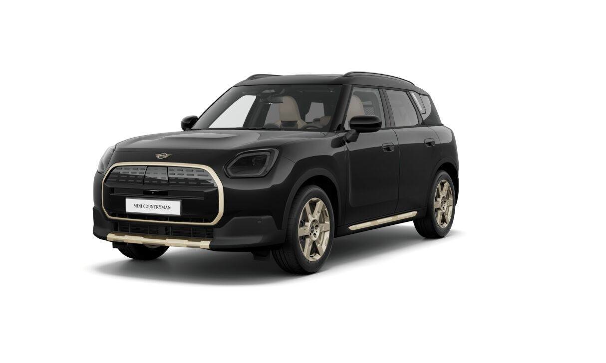 MINI MINI Countryman E 150 kW (204 CV) 9