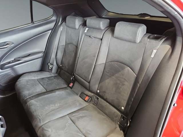 Lexus UX 250h Business 2WD 135 kW (184 CV) Vehículo usado en Madrid - 8