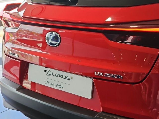 Lexus UX 250h Business 2WD 135 kW (184 CV) Vehículo usado en Madrid - 27