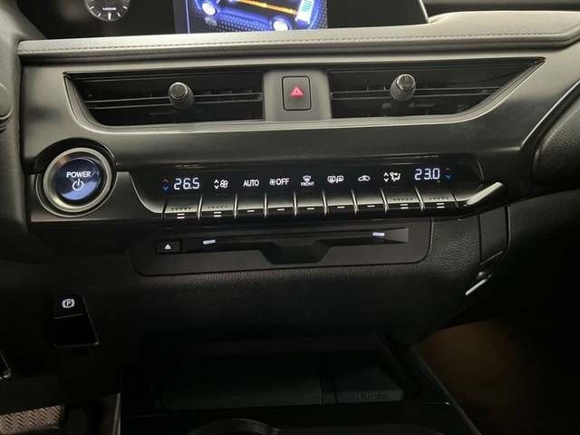 Lexus UX 250h Premium 135 kW (184 CV) Vehículo usado en Madrid - 19