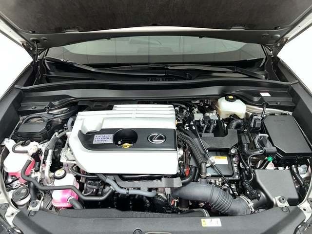 Lexus UX 250h Premium 135 kW (184 CV) Vehículo usado en Madrid - 28