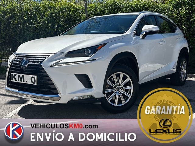 LexusNX 300h Business Navigation 2WD 145 kW (197 CV)