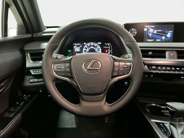 Lexus UX 250h Business 2WD 135 kW (184 CV) Vehículo usado en Madrid - 12