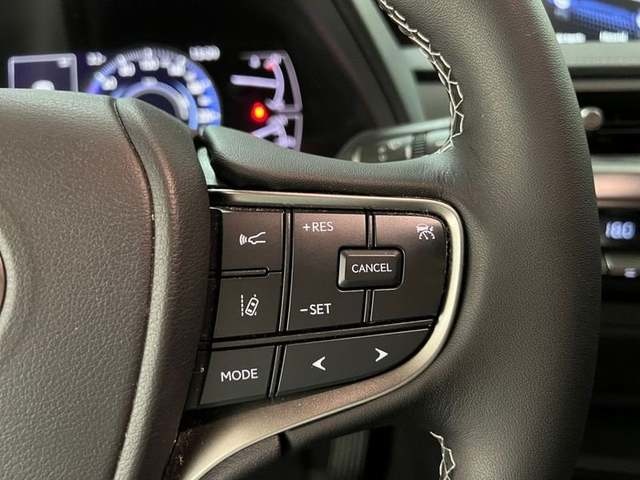 Lexus UX 250h Business 2WD 135 kW (184 CV) Vehículo usado en Madrid - 14