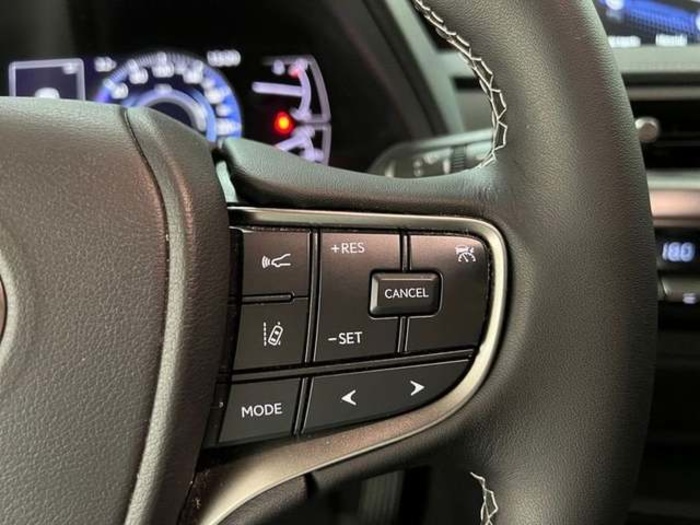 Lexus UX 250h Business 2WD 135 kW (184 CV) Vehículo usado en Madrid - 14 Lexus UX 250h Business 2WD 135 kW (184 CV) Vehículo usado en Madrid - 14