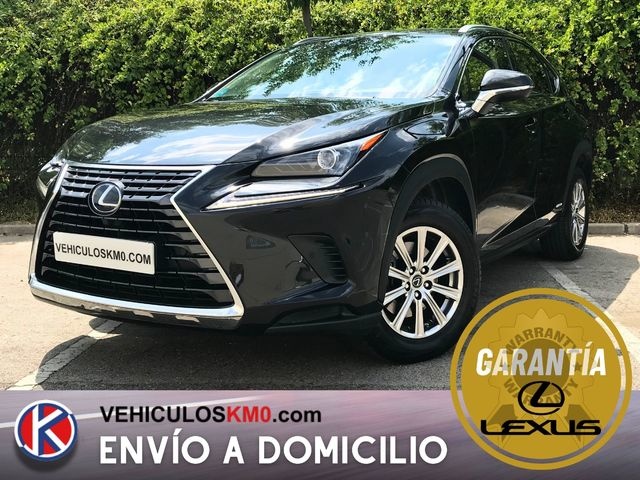 LexusNX 300h Business Navigation 2WD 145 kW (197 CV)
