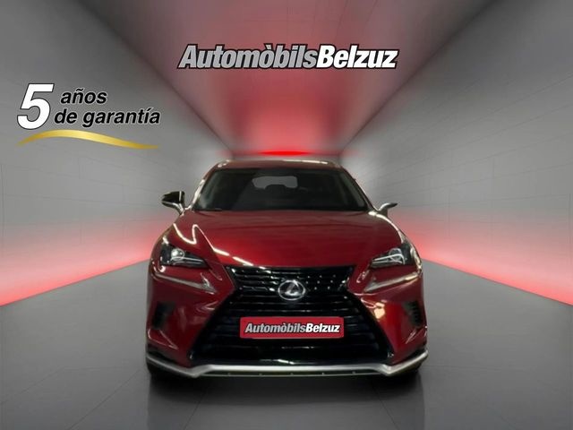 LexusNX 300h Eco 2WD 145 kW (197 CV) Vehículo usado en Barcelona - 2