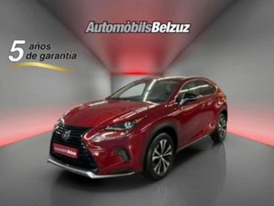 Lexus NX 300h Eco 2WD 145 kW (197 CV) Lexus NX 300h Eco 2WD 145 kW (197 CV)