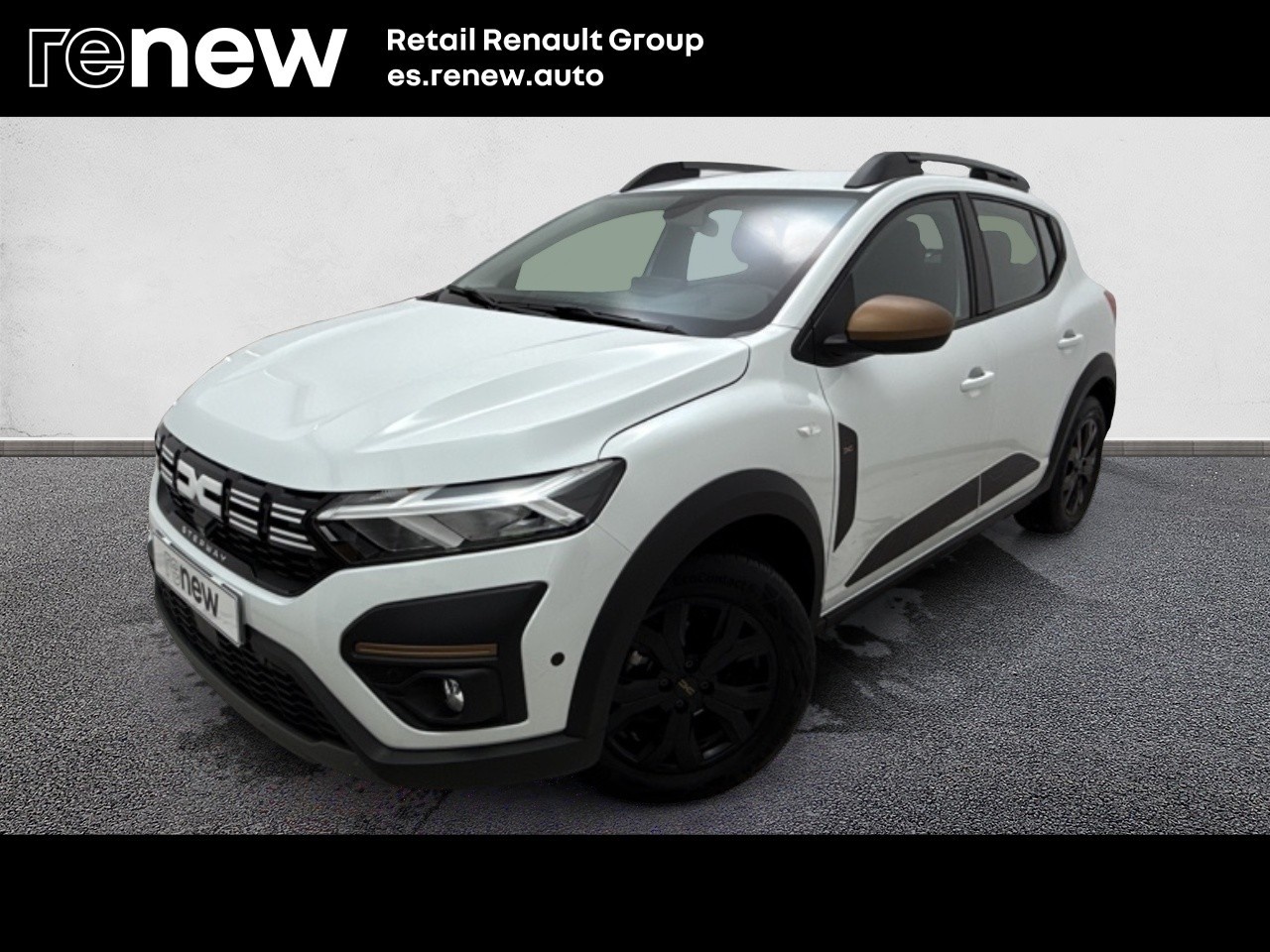 Dacia Sandero Stepway Extreme Go TCe 81 kW (110 CV) - 1