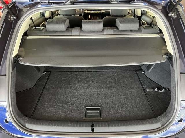 Lexus CT 200h Business 100 kW (136 CV) Vehículo usado en Madrid - 41