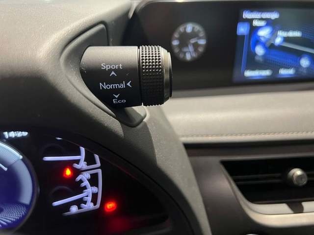 Lexus UX 250h Business 2WD 135 kW (184 CV) Vehículo usado en Madrid - 16