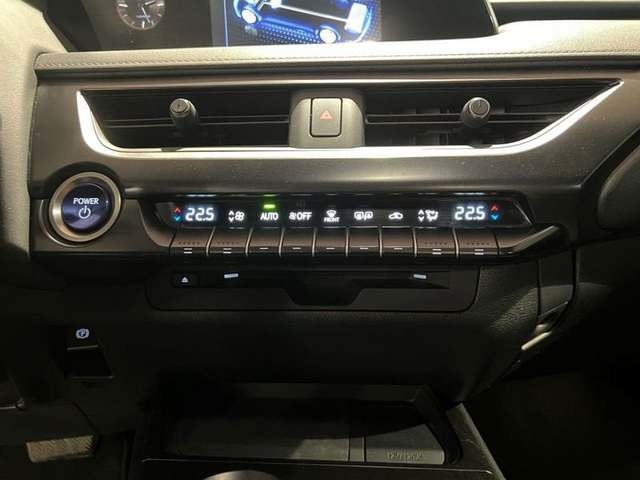 Lexus UX 250h Business 2WD 135 kW (184 CV) Vehículo usado en Madrid - 21 Lexus UX 250h Business 2WD 135 kW (184 CV) Vehículo usado en Madrid - 21