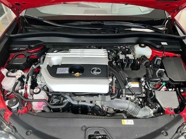 Lexus UX 250h Business 2WD 135 kW (184 CV) Vehículo usado en Madrid - 30