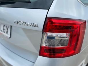 Skoda Octavia Combi 1.6 TDI Ambition 85 kW (115 CV)