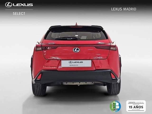 Lexus UX 250h Business 2WD 135 kW (184 CV) Vehículo usado en Madrid - 5