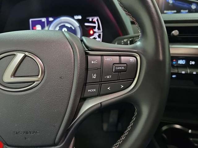 Lexus UX 250h Business 2WD 135 kW (184 CV) Vehículo usado en Madrid - 16