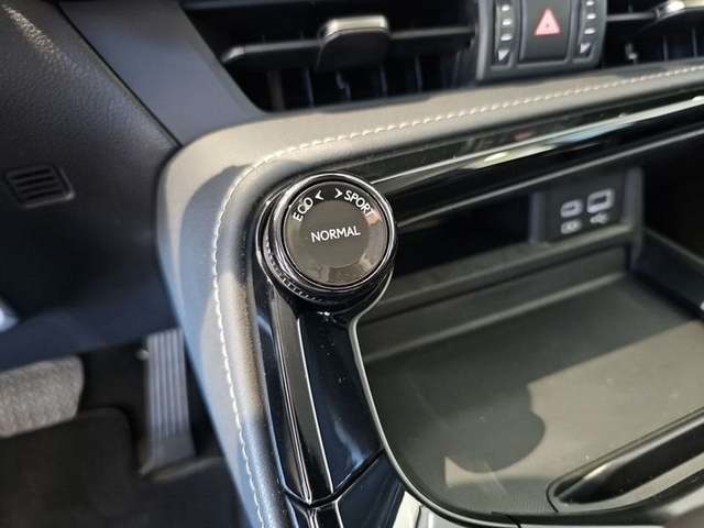 Lexus NX 350h Business City 2WD 178 kW (242 CV) Vehículo usado en Madrid - 22