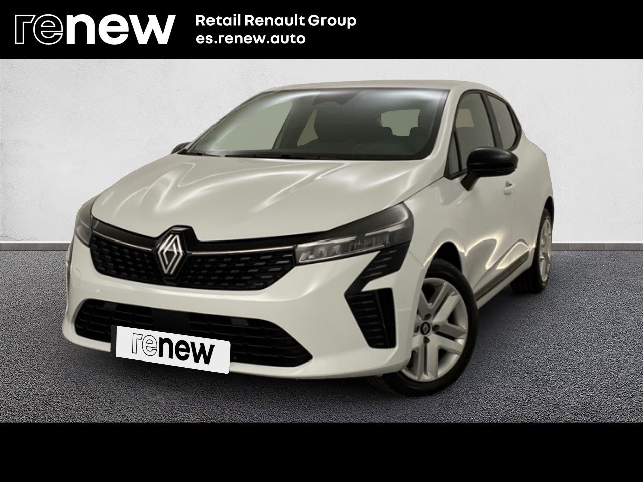 Renault Clio Evolution dCi 74 kW (100 CV) - 1