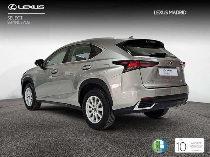 Lexus NX 300h Business Navigation 2WD 145 kW (197 CV) Vehículo usado en Madrid - 2 Lexus NX 300h Business Navigation 2WD 145 kW (197 CV) Vehículo usado en Madrid - 2