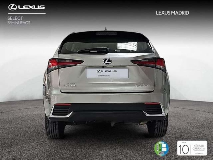 Lexus NX 300h Business Navigation 2WD 145 kW (197 CV) Vehículo usado en Madrid - 4 Lexus NX 300h Business Navigation 2WD 145 kW (197 CV) Vehículo usado en Madrid - 4