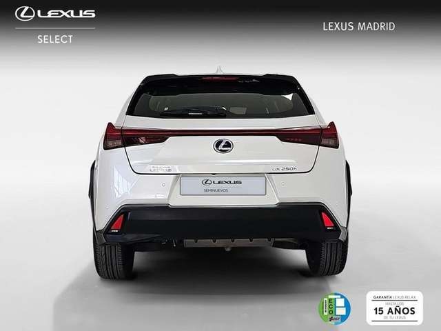 Lexus UX 250h Premium 135 kW (184 CV) Vehículo usado en Madrid - 4
