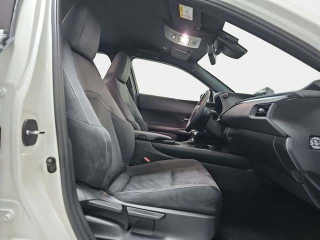 Lexus UX 250h Premium 135 kW (184 CV) Vehículo usado en Madrid - 7