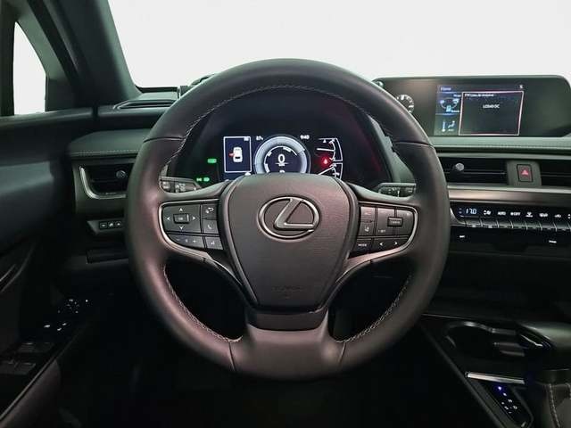 Lexus UX 250h Premium 135 kW (184 CV) Vehículo usado en Madrid - 13