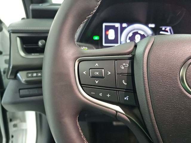 Lexus UX 250h Premium 135 kW (184 CV) Vehículo usado en Madrid - 14