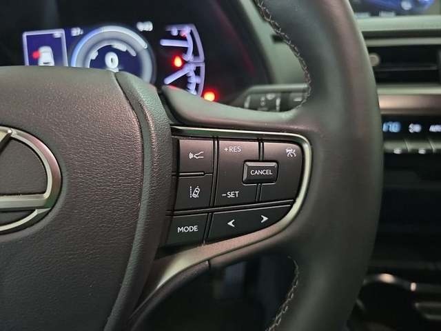 Lexus UX 250h Premium 135 kW (184 CV) Vehículo usado en Madrid - 15