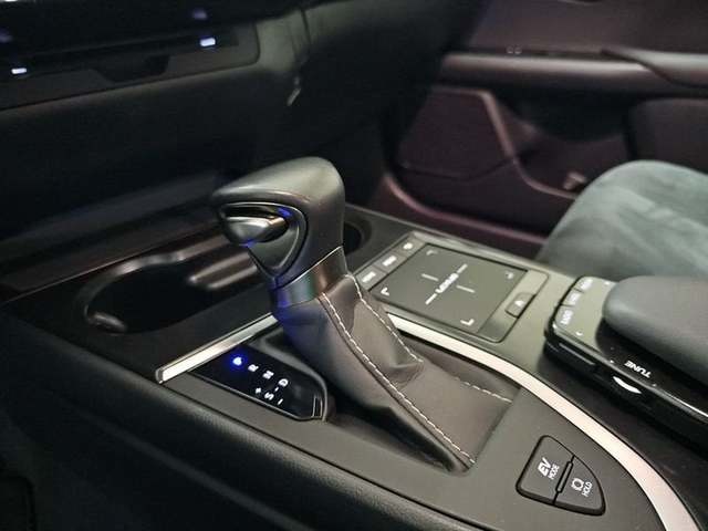 Lexus UX 250h Premium 135 kW (184 CV) Vehículo usado en Madrid - 23