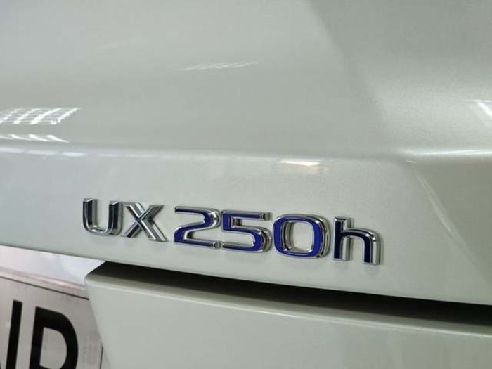 Lexus UX 250h Premium 135 kW (184 CV) Vehículo usado en Madrid - 27 Lexus UX 250h Premium 135 kW (184 CV) Vehículo usado en Madrid - 27