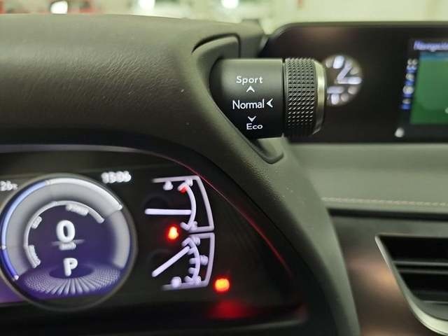 Lexus UX 250h Business Navigation 2WD 135 kW (184 CV) Vehículo usado en Madrid - 19