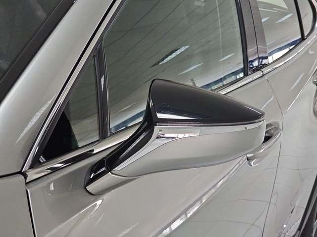 Lexus UX 250h Business Navigation 2WD 135 kW (184 CV) Vehículo usado en Madrid - 34