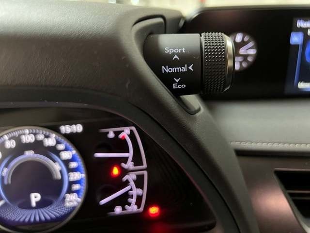 Lexus UX 250h Business 2WD 135 kW (184 CV) Vehículo usado en Madrid - 20