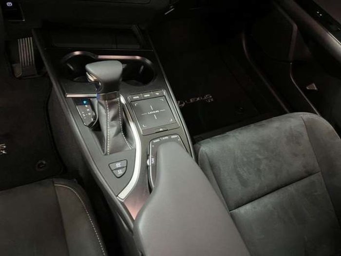 Lexus UX 250h Business 2WD 135 kW (184 CV) Vehículo usado en Madrid - 28 Lexus UX 250h Business 2WD 135 kW (184 CV) Vehículo usado en Madrid - 28