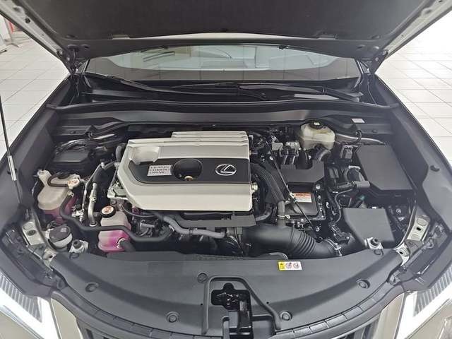 Lexus UX 250h Business 2WD 135 kW (184 CV) Vehículo usado en Madrid - 41