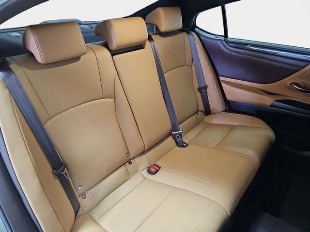 Lexus ES 300h Business 160 kW (218 CV) Vehículo usado en Madrid - 10