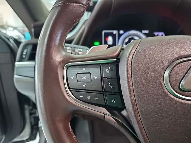 Lexus ES 300h Business 160 kW (218 CV) Vehículo usado en Madrid - 16