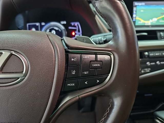 Lexus ES 300h Business 160 kW (218 CV) Vehículo usado en Madrid - 17