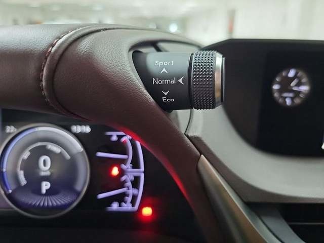 Lexus ES 300h Business 160 kW (218 CV) Vehículo usado en Madrid - 21