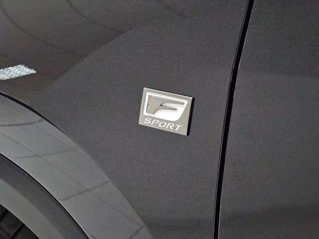 Lexus NX 450h+  F Sport 4WD 225 kW (306 CV) Vehículo usado en Madrid - 34