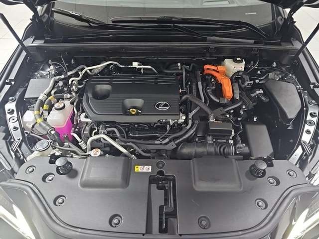 Lexus NX 450h+  F Sport 4WD 225 kW (306 CV) Vehículo usado en Madrid - 39