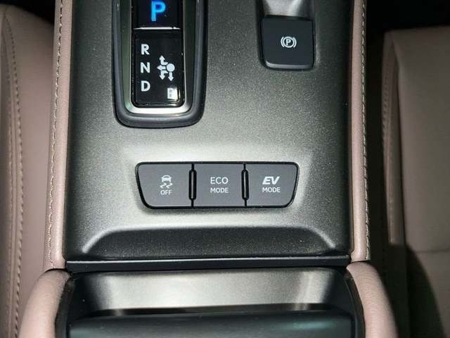 Lexus LBX 1.5 HEV Elegant Plus 100 kW (136 CV) Vehículo usado en Madrid - 29