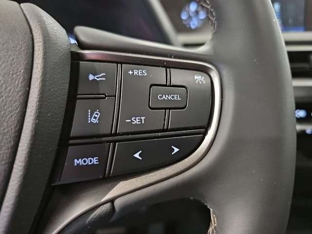 Lexus UX 250h Business 2WD 135 kW (184 CV) Vehículo usado en Madrid - 14 Lexus UX 250h Business 2WD 135 kW (184 CV) Vehículo usado en Madrid - 14