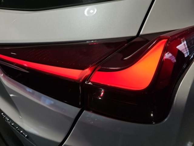 Lexus UX 250h Business 2WD 135 kW (184 CV) Vehículo usado en Madrid - 25