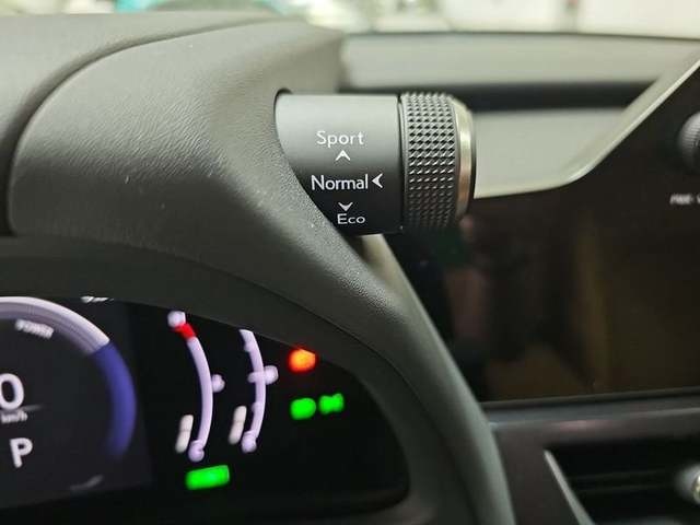 Lexus UX 300h Plus 146 kW (199 CV) Vehículo usado en Madrid - 16