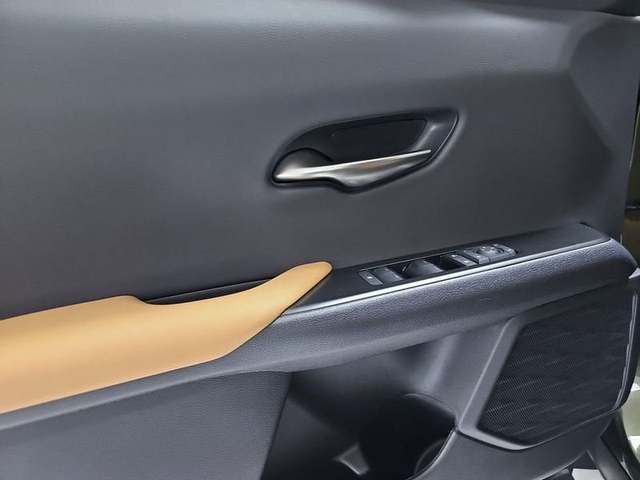 Lexus UX 300h Plus 146 kW (199 CV) Vehículo usado en Madrid - 22